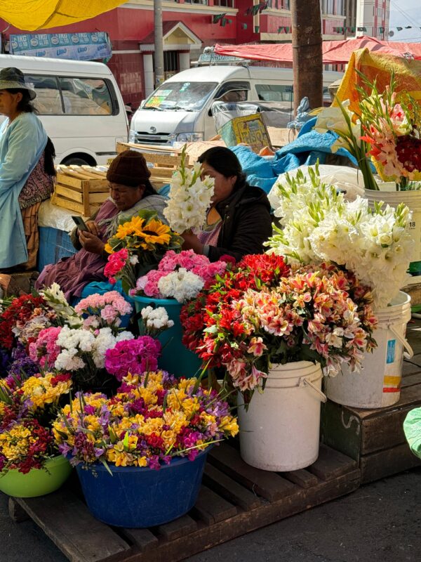Market & Stories